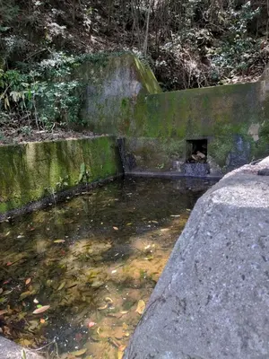 もちもちした商売魂