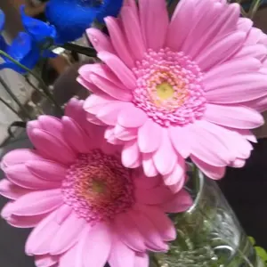 みずは☆即購入歓迎☆無料おまけあり