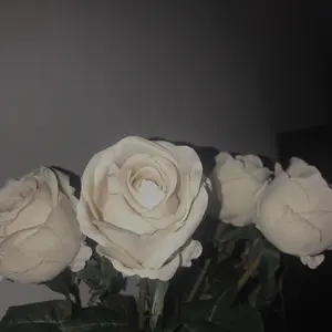 プロセカ 暁山瑞希 ミニ色紙 リボン 25C 特訓前 幼少期 - メルカリ