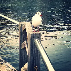 サンタコプター 1960年代 増田屋 日本製 ブリキ オモチャ