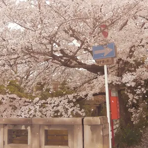 Omizu