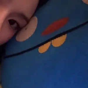 TWICE home9round ツウィ ぬいぐるみ ペンミ popup - メルカリ