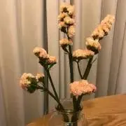 tanakadaisuke STUDIOUS別注 / ホース刺繍フーディ - メルカリ