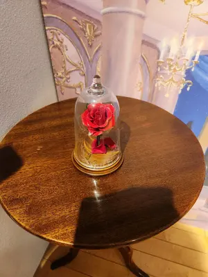 BUYEE公式アカウント42様専用ページ - メルカリ