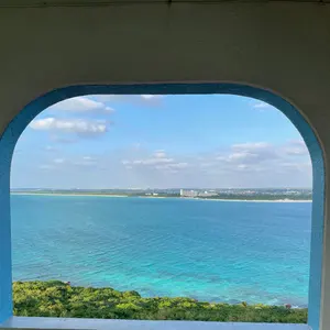 VALIEM A-PLANTS ダブルハーフ コラボ鉢 Mサイズ - メルカリ