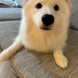 値下げ可能‼️ endlessmade パーカー jahxncho ラッパー着用 - メルカリ