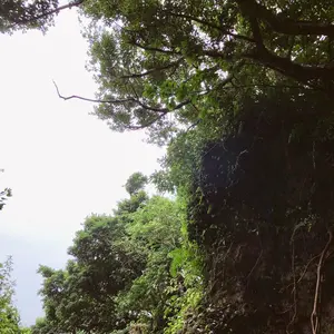 月末セール　森本茉莉 直筆サイン フライヤー 日向坂46 森本茉莉 Happy Train Tour 2023 直筆サイン - メルカリ