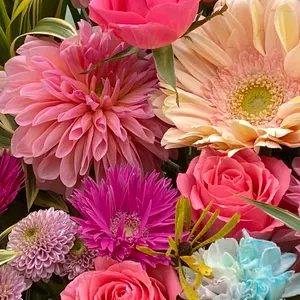 ダウポンチ DalPonte ウォーマー L/M ネイビー迷彩 - メルカリ