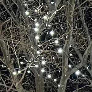 Versailles KAMIJO 直筆サイン - メルカリ