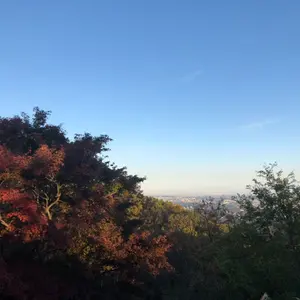 最終値下げ 30プリウス 触媒中間ストレートマフラー - メルカリ