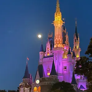 良品！アンリミ フロンティアの鼓動 ミロカロスLV.52 色違い