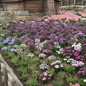 渋谷ラ.スカラキーホルダー - メルカリ