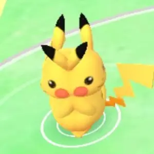 ポルトガル語版ポケモンカード】25thワタルのリザードンV（ジャンボ