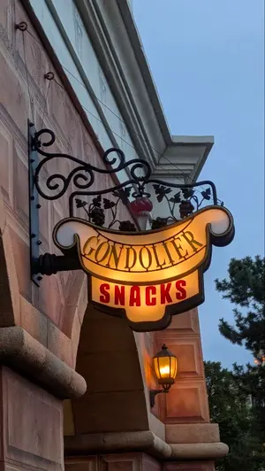 1点のみ】ファンタジア*ソーサラー*ミッキー*パーカー*魔法使いの弟子