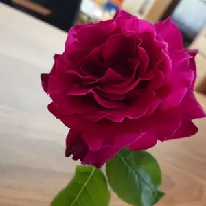 高品質 グリーンガーデンクォーツ♡ファセットカット♡No.2961 - メルカリ