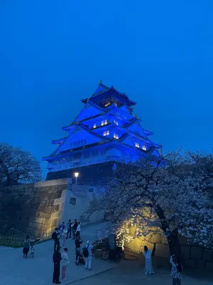 ユニオンアリーナ アンデッド アンラック 出雲風子 サイン シリアル AP