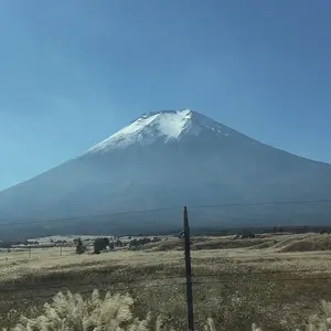 櫻坂46 向井純葉 直筆サイン 生写真 2024年 クリスマスサンタ衣装