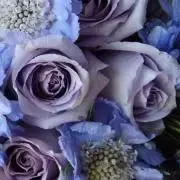 ただ今断捨離中ですが…様 専用ページ】ケユカ KEYUCAソファ②両