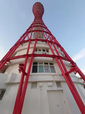 お値下げ☆マックスマーラ ウィークエンド☆リーフ柄 シルク100