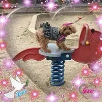 ミシレルトII】美容複合機 透明ガラス三段ワゴン付き - メルカリ