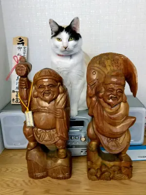 宇宙刑事 ギャバン シャリバン 大葉 健二 直筆サイン - メルカリ