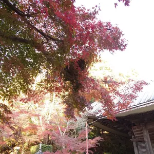 ワートリ 生駒隊 隊服 バッグワーム サンバイザー セット - メルカリ