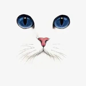 ねこぢる コミック12冊セット ねこぢる 12冊セット ねこぢるうどん ラルク HYDE - メルカリ