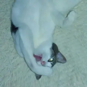 つん