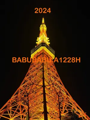 確認用　バランサーチェン　cb250t cb400t cb250n cb400n バランサーチェーン（DID） cb250t cb400t cb250n cb400n cb400d