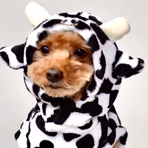 フランス蚤の市 アンティークルーペ DEPOSE - メルカリ