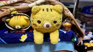 プレゼント付き‼️特撮 塗装職人より ゴジュジャーテガソード様 加工