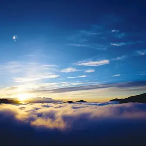 希少 スティングレイ マッチングヘッド エボニー指板 神田商会60周年