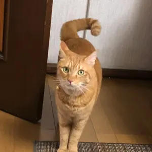 遠藤ゆりか サイン色紙 - メルカリ