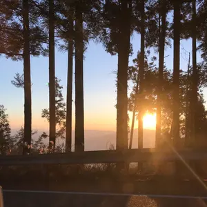 z33 前期、中期 触媒 左右セット - メルカリ