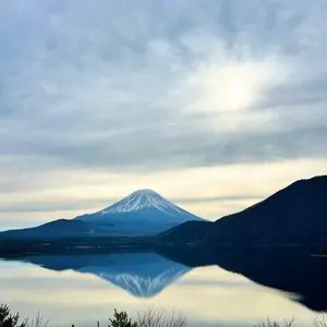 タイトルは英語　中身は日本語　健康・栄養・食事療法に関する書籍 13冊セット タイトルは英語 中身は日本語 健康・栄養・食事療法に関する書籍