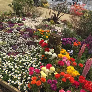 美品 Lululemon Difine ジャケット サイズ4 花柄　シースルー 美品 Lululemon Difine ジャケット サイズ4 花柄 シースルー