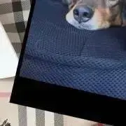 ▽希少レア✨ローブドシャンブル✨コムデギャルソン✨ニットジャケット 