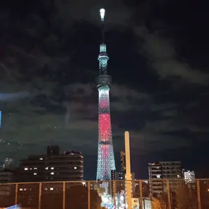 オッケー牧場様 GIOS シエラ 49サイズ フレームセット - メルカリ