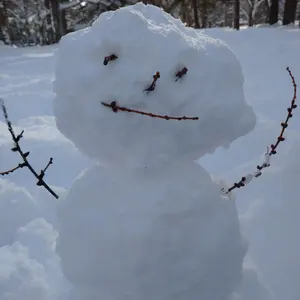スカイウォーカ―
