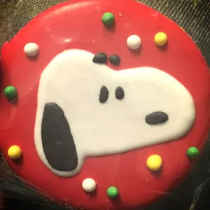 プロフ要確認お急ぎの方購入前にコメントを