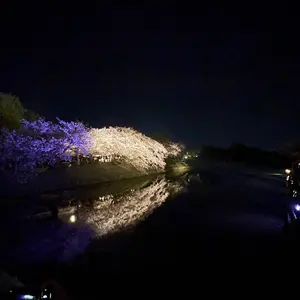 ハーレー ミラー クリアキン FXBR ブレイクアウト - メルカリ