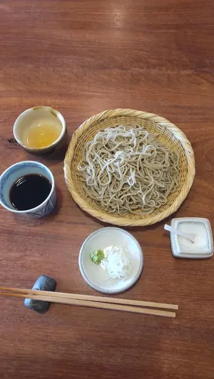 美品⭐】Champion Kinashi セミガン 7
