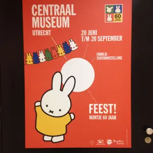 Rally ラリー エレクトリックフラットマンドリン&ハードケース - メルカリ