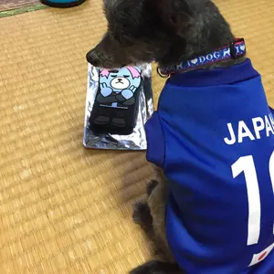 Panasonic TH-65JX800 65インチ ジャンク 2021年製 - メルカリ