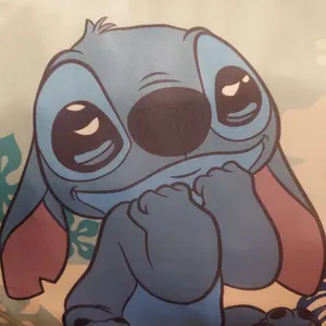 スティッチ☆船に乗るの〜説明＆プロフご覧