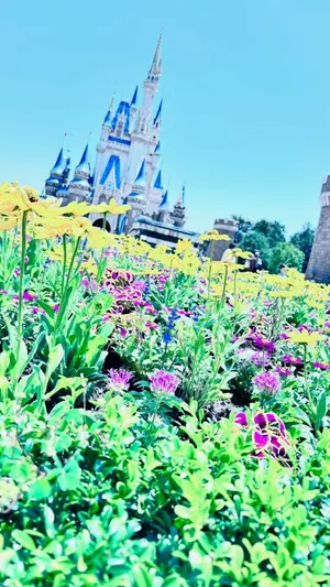 シクフォニ すち スクレボ 缶バッジ 57点 - メルカリ