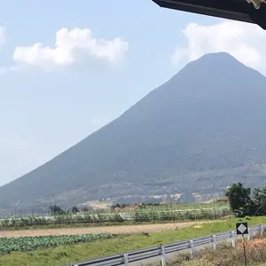 プロフ必読⭐︎shine様専用 mojojojo NICE WEATHER セット - メルカリ