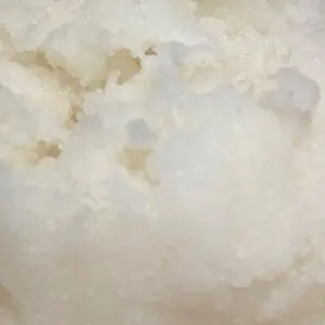 D.M Buxton ホワイトシェル文字盤 ストーン装飾 ブレスウォッチ D.M Buxton ホワイトシェル文字盤 ストーン装飾 ブレスウォッチ - メルカリ