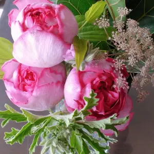 いちこ＠プロフ必読