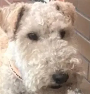 最終価格】新品 タグ付き☆sacai☆サカイ☆パンツ☆XL☆安心鑑定